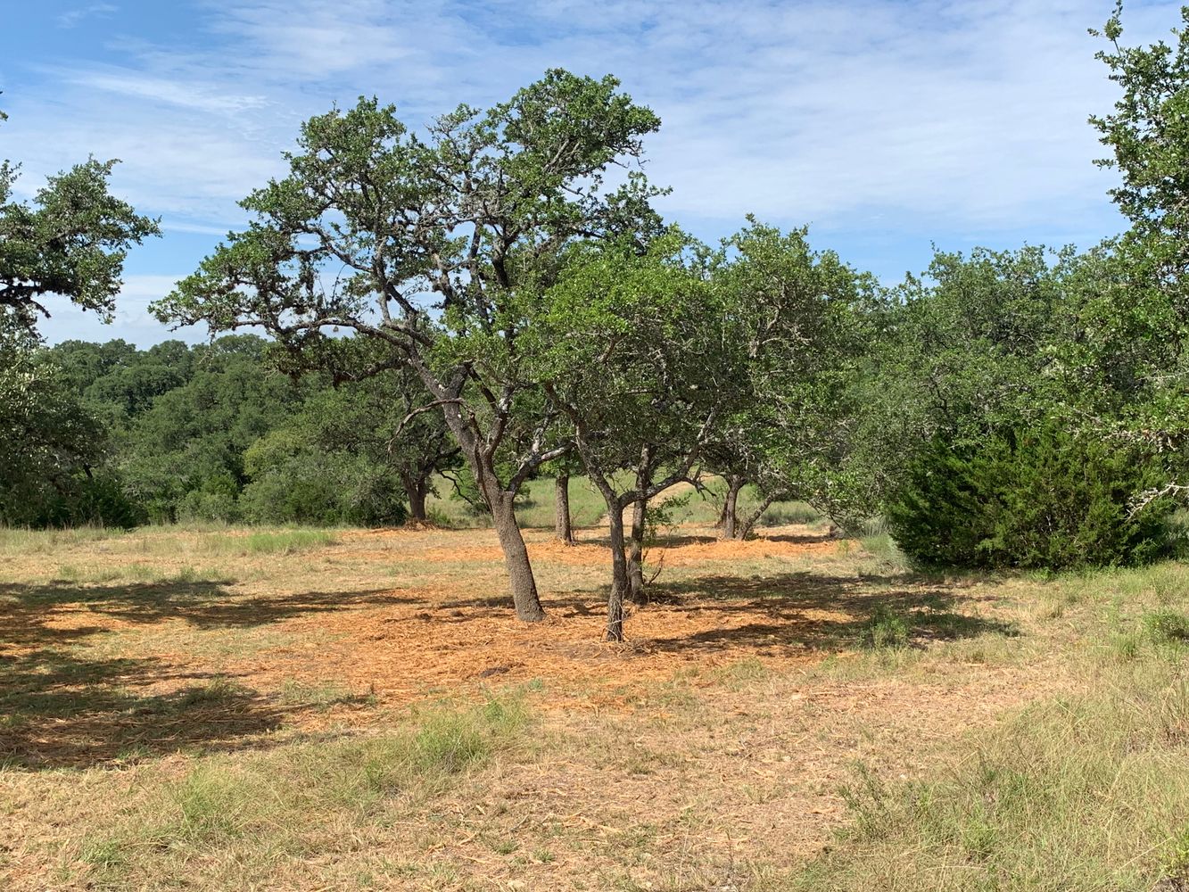 part of edmond ranch: 000 FM 32, Blanco, TX 78606